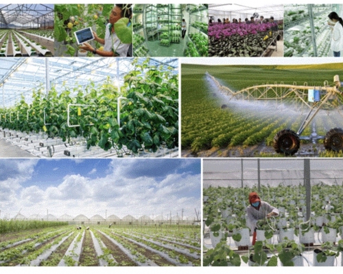 Thêm 79 hoạt chất thuốc bảo vệ thực vật được phép sử dụng tại Việt Nam